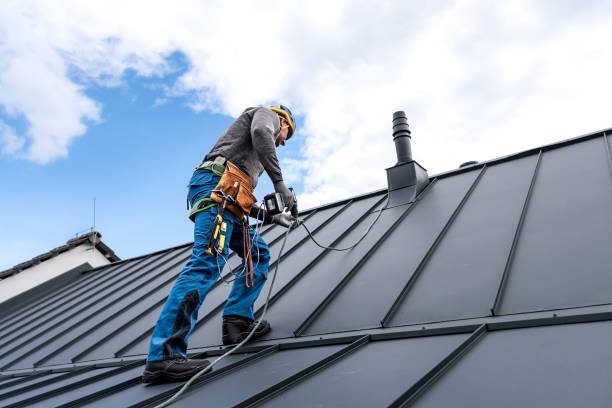 Best Gutter Installation and Repair  in Lake View, AL