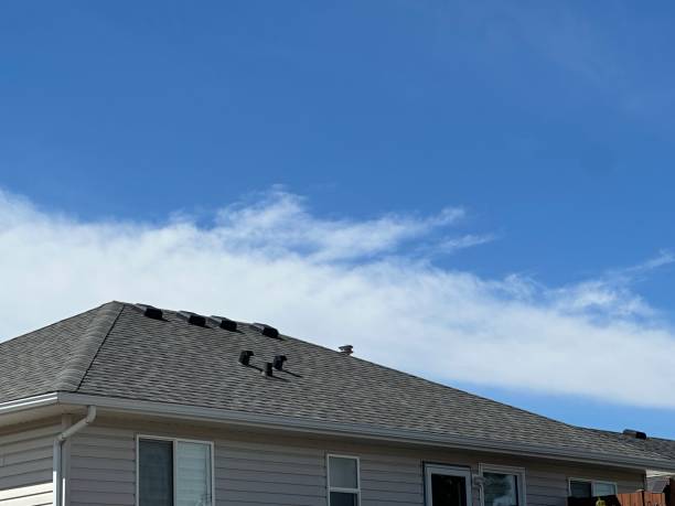 Best Green or Eco-Friendly Roofing Solutions  in Lake View, AL